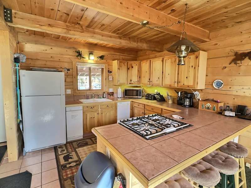 Mountain Log Cabin on 6 Acres — Leadville