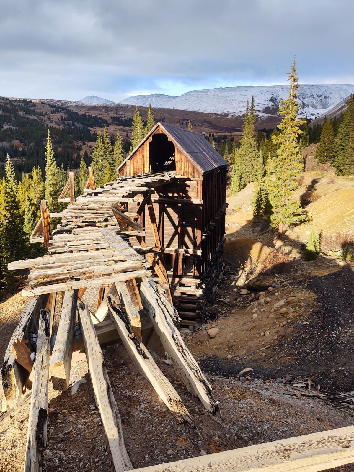Summer mountain landscape with wildflowers and alpine peaks